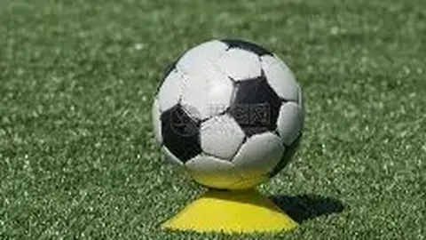 杨紫琼与74岁男友甜蜜自拍，相恋6000天深情不减