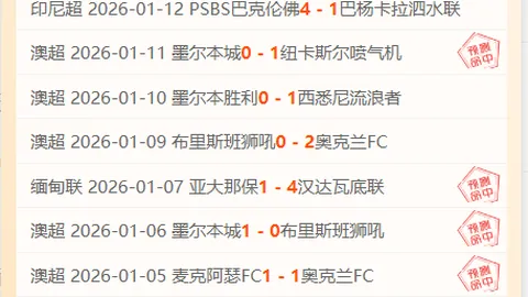 舒勇委员履职纪实：文化纽带，连接世界桥梁